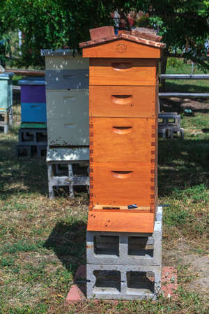 Beehive Tower