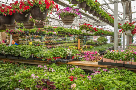 Garden storeのeditorial素材