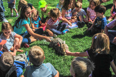 Children Petting rabbitのeditorial素材