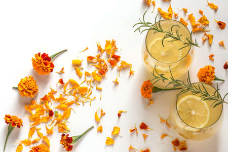 Kombucha teaの写真素材