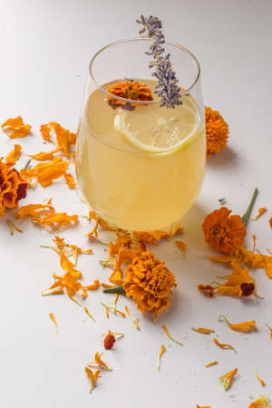 Kombucha teaの写真素材