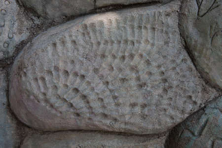 Rock texture, close-up backgroundの写真素材