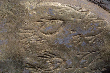 Background Textureの写真素材