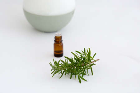 Thyme essential oil with diffuserの写真素材