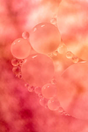 Water and oil bubblesの写真素材