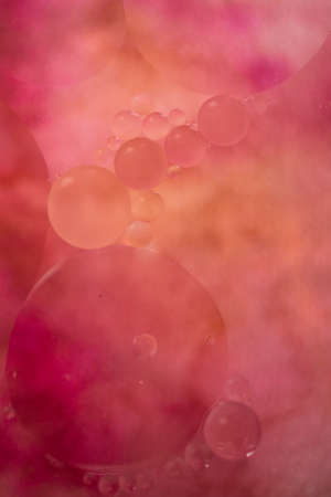 Oil and water circles