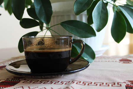 Cup of coffee under leaves of green flower