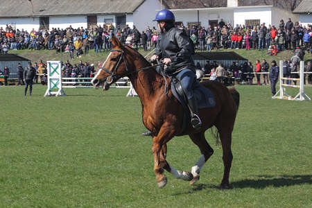 Traditional Annual horse ride to celebrate Theodore s day  Horse Easter  in Sofia, Bulgaria, 23 03 ...