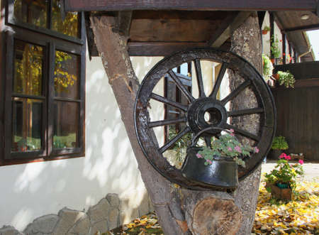 Autumnal scene in a rural yard, Bulgariaの写真素材