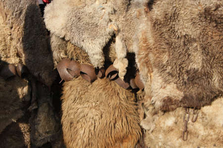 25th International festival of masquerade games Surva, Pernik, Bulgaria  2016の写真素材