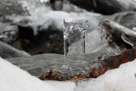Closeup picture of frozen groundの写真素材