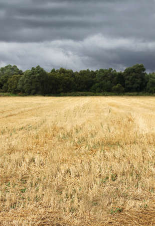 Rural scene with a field just before storm