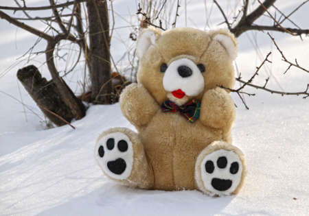 Closeup picture of a teddy bear in the snow