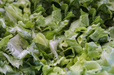 Closeup picture of a fresh green saladの写真素材