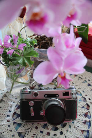 Still life with an orchid flower, a vase, red books and a vintage camera on a clothed tableの写真素材