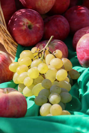 Autumnal concept with variety of fruit in a basket shot outdoorの写真素材