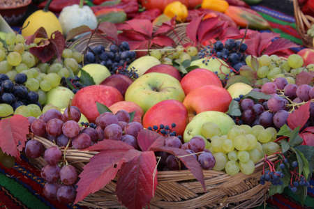Autumnal concept with variety of fruit shot outdoor