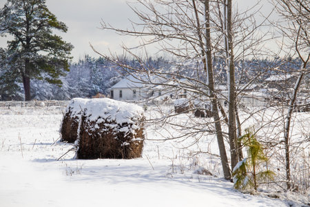 Hay Bales by the Farmhouse after a Snowの写真素材