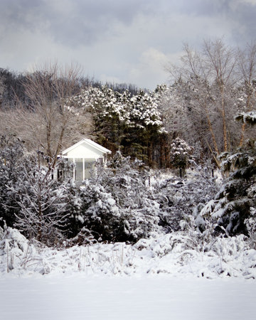Snowy Picturesque Building surrounded by Forest in Winter Weatherの写真素材