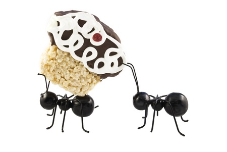 Two toy ants carrying a cupcake, isolated on white backgroundの写真素材