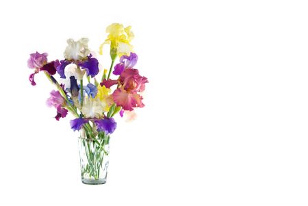 A vase of spring Hybrid Irises in a variety of colors, isolated on white backgroundの写真素材