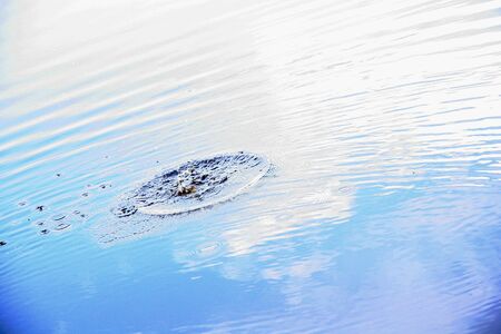 Splash in the waterの写真素材