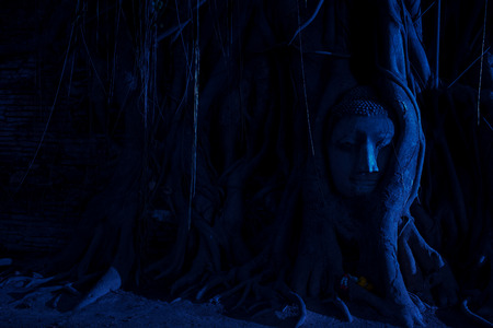 Ayutthaya historical park in thailandの写真素材