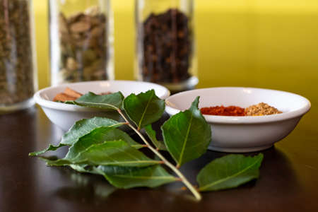 Mixture of Asian spices used to make curry displayed on a wooden table with fresh curry leaves as a garish.の写真素材