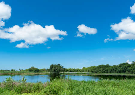 Scenic landscape of a pond in the countryside of Aranguez, Trinidad in the Caribbean on a bright sunny day with clouds.の写真素材