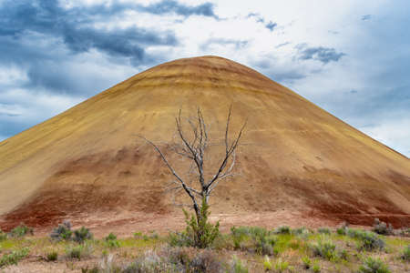 Beautiful, moody Painted Hills from Oregon, United States with a dead tree and stormy, clouded skies. Natural land formation, geology.の写真素材