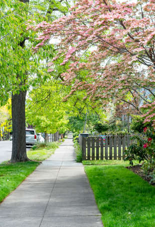 Cute and picturesque residential neighborhood in Ashland, Oregon.  Small town in Pacific Northwest, Southern Oregon, United States.の写真素材