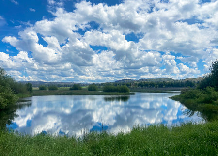 Fluffy clouds reflected in a pond in the protected wetlands of Oregon.の写真素材