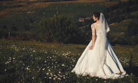 Beautiful young bride outdoors in a forest.の写真素材