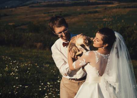 wedding couple with cat  of carpathian mountainの写真素材