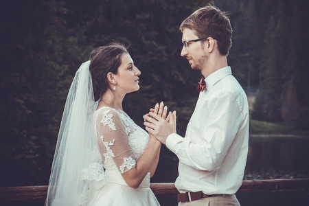 wedding couple near carpathian mountainの写真素材