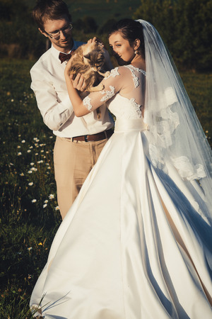 wedding couple with cat  of carpathian mountainの写真素材