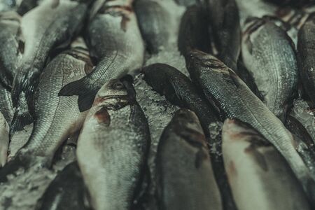 Fresh fish in the market, close upの写真素材