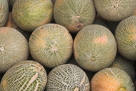 Melons - close up, food backgroundの写真素材