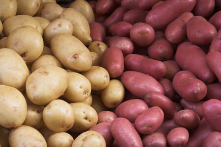 Big bunch of natural potatoesの写真素材