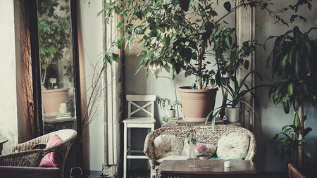 antique classic interior, chairs, table - soft daylightの写真素材