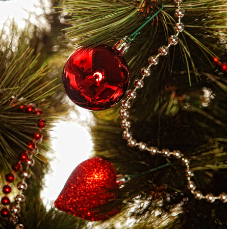 Studio Shot Of Decorated Christmas Treeの写真素材