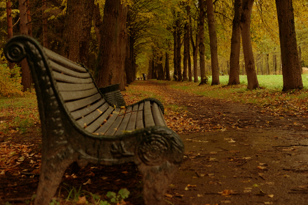 Bench in the autumn parkの写真素材