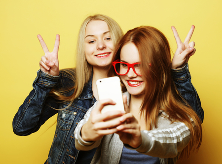 Two teenage girls friends in hipster outfit make selfie on a phoneの写真素材