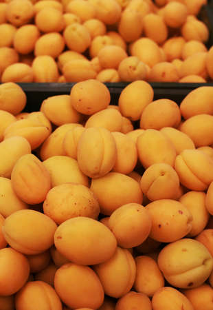 apricots for sale in a store,の写真素材