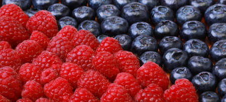 raspberries and blueberries, close up picture