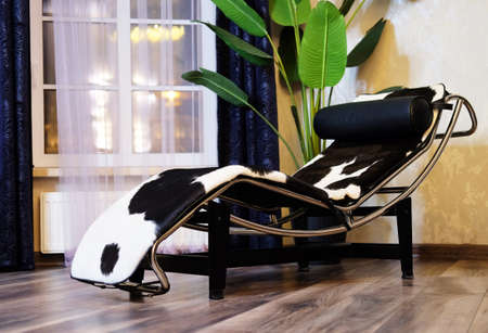 lounge chair in modern room, stylish interiorの写真素材