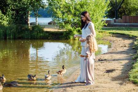 Mother and little daughter feed bread crumbs to ducks and gulls near lakeの写真素材
