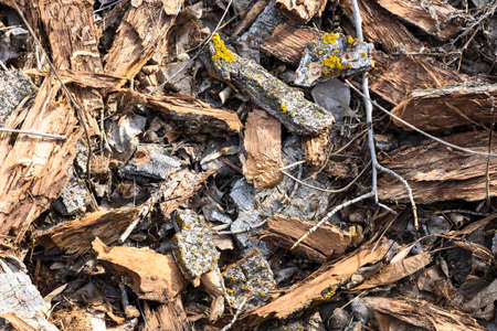 Wooden dry bark and slivers firewood. Dried bark of wood texture, background nature raw. Lots of bark. Closeup of bark structure.の写真素材