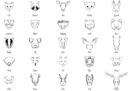 Set of 25 various animals and namesのイラスト素材