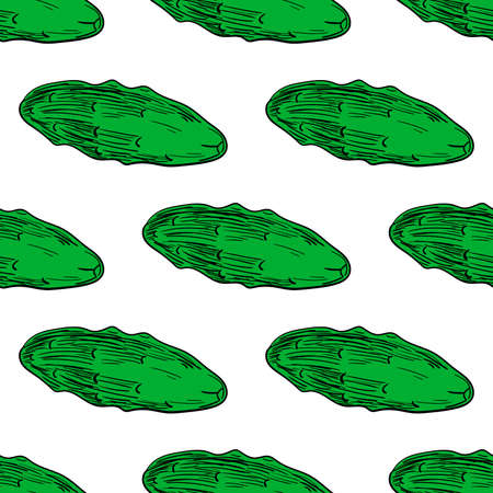 Pattern made from hand drawn cucumbers. Vector illustrationのイラスト素材